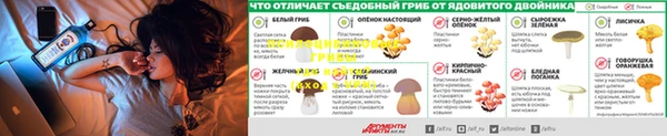 прущая мука Алексеевка